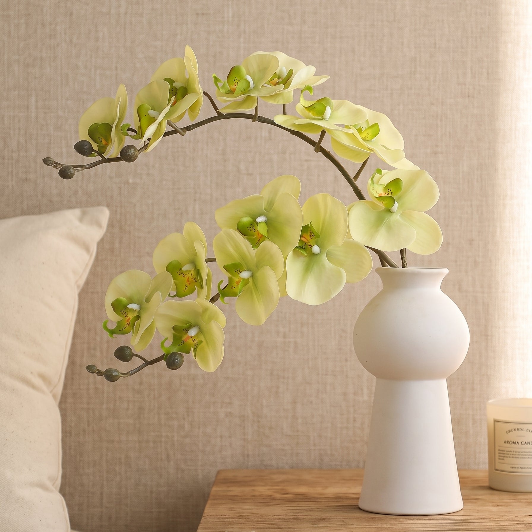 Cream White & Light Green Phalaenopsis Orchid Flower - 33"