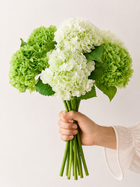 Soft Green Hydrangea Faux Floral Arrangement