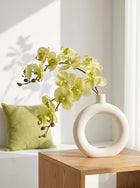Cream White & Light Green Phalaenopsis Orchid Flower - 33"