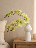 Cream White & Light Green Phalaenopsis Orchid Flower - 33"